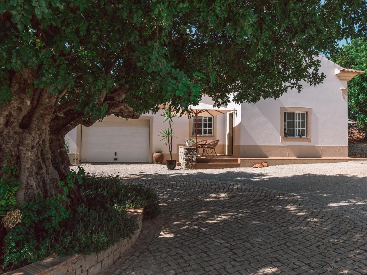 Villa Monte 3 Alfarrobeiras à São Brás de Alportel Extérieur photo